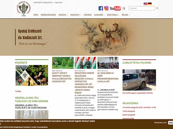 portfolio-large-image