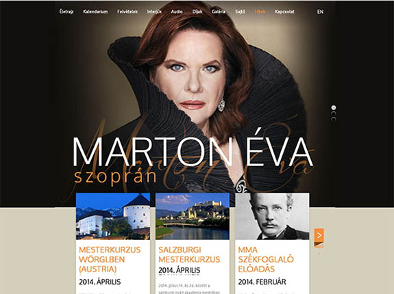 portfolio-large-image